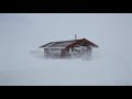 Heavy Snowstorm Sounds For Sleeping, Relaxing ~ Blizzard Snow Howling Wind Winter Storm Ambience