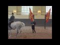 Condé Reitseminare - korrekte Ausbildung von Pferd und Reiter