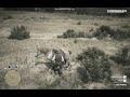 Searching For New friend Rdr2 #2