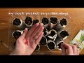Paper Plant Pots + Seed Starting Asparagus