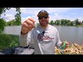 Frog Fishing For Bass - Everything You Need To Know!