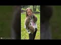 These Animals Will Never Forget Their Owners | Animal Reunion After Years !
