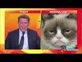 Animals / Pets take over the news | Funny pets and animals on the news most viral clips