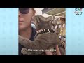 Clingy Cat Goes Everywhere With Mom | The Dodo