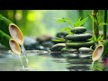 🎼 Beautiful Relaxing Piano Music - Peaceful Mind, Sleep Music, Calming Water Sounds for Healing 🌸