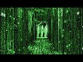 The Matrix - Tetsujin [Shortened Loop 1]