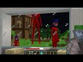 JJ and Mikey hide From Scary LADYBUG & CAT NOIR EXE monsters paw patrol in Minecraft Maizen
