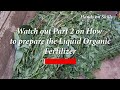 Best plants for making liquid fertilizer for your garden for beginners