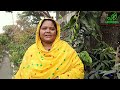 বিদেশী ফল গাছের মূল্য🍏Foreign Fruit Tree Price In Yamin Nursery | Gardening Bangladesh