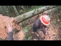 Chainsaw Review! Logging With The Makita 7900P!