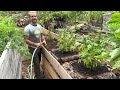 MY NEW GARDEN - FULL TOUR | How I used Hügelkultur to GROW MY OWN FOOD in RAISED BEDS in the FOREST