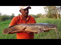 Awesome fishing | Big catfish catch