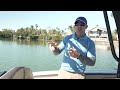 Yamaha 255 FSH Sport H (2024) Test & Features Review | BoatTEST