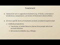 Ebola - Transmission, Symptoms, Diagnosis, and Treatment