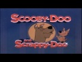Scooby-Doo and Scrappy-Doo (Theme Song)