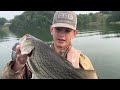 Fishing For HUGE Striper At Tim’s Ford Lake! (Live Minnow Fishing)