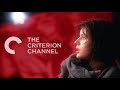 Everything You Need to Know About The Criterion Channel