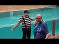 Tom the mime was so hilarious on this show! 4K 😂🤣(SeaWorld Orlando) 08 FEB 2024