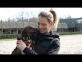 EVERYTHING about world champion Glamourdale 🖤 Big Stable tour with Lottie Fry 🤩