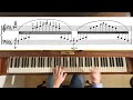 Liszt Concert Etude: 'Un Sospiro' on 1901 Bechstein grand #liszt #classicalpiano #piano