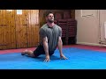 Martial arts mobility exercises at home