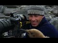 A Man Among Orcas - Wildlife Documentary