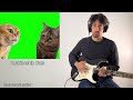 Cat memes and viral songs on many instruments