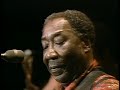 Muddy Waters feat. Johnny Winter - Chicago Fest 1981