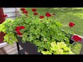 Must See!  Mama’s Summer 2024 Beautiful Home & Garden Tour