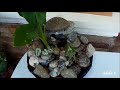 DIY Mini Stone Water Fountain in a Bowl (Easy and Artistic)