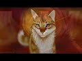 Warrior Cats Theme Songs (Part One)