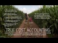 True Cost Accounting | The Lexicon of Sustainability | PBS Food