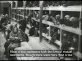 The deportation of Jews from Hungary and Lodz to Auschwitz Birkenau, 1944