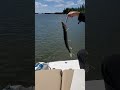 Couple catches trolling.