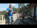 Hand Feeding Wild Australian Parrots