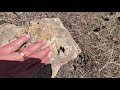 GEOL 351 - #16 - First Creek Rhyolite w/ Andrew Sadowski (field trip)