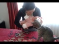 Gato conoce a bebé
