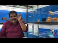 Oscar  Fish Keeping | Oscar Fish Aquarium | Mayur Dev's Tips for Oscar fish Keeping HD 1080p