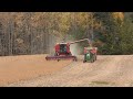 Soybean Harvest 2016 Pt. 1