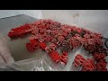 ASMR Making Chocolate Filled Cherry Ribbon Candy (no talking)