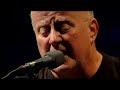 Christy Moore - Beeswing (Official Live Video)