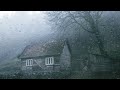 Beautiful and Relaxing Rain in the Misty Forest for Sleeping - Rain Sounds For Sleeping - ASMR