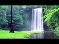 Peaceful Forest Waterfall HD 🌲🌧️ The Calming Sound of Water Rain and Thunder