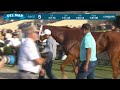 Mystic Spirit wins race 5 at Del Mar 7/26/24.