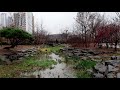 Rain Sounds Falling Over the River / Nature Sound / for Sleep, Study, Yoga, Stress Relief