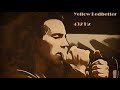 Yellow Ledbetter a 432 Hz