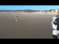 Scarlett running on the beach