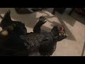 Godzilla vs gamera stop motion