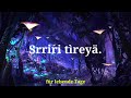 Neytiris Song from Avatar the Way of Water • one hour version • Tìng Mikyun
