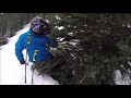 Snowmass skier verus treewell